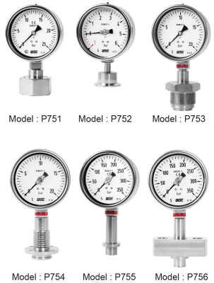Đồng hồ áp suất kiểu màng kết nối điện P750 Wise Control Vietnam