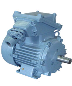 explosion-proof series NIDEC ACIM