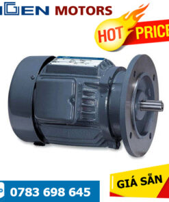 Động cơ cảm ứng ba pha I08HS1SF Higen motor