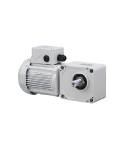 I300X9TT / I05HT1ST2GW001 Higen Motor