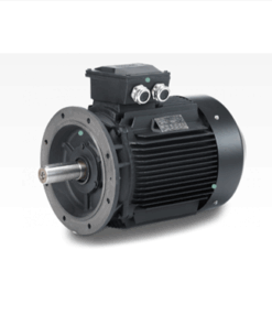 Hoyer Motor HMC2 315L3-4 291 kW