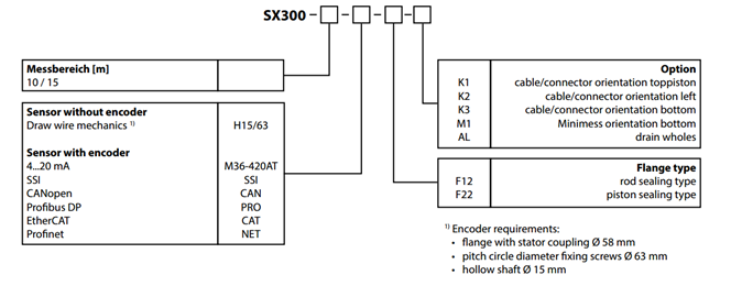 Order code SX300-10-M36-420AT-F22-K1 Waycon