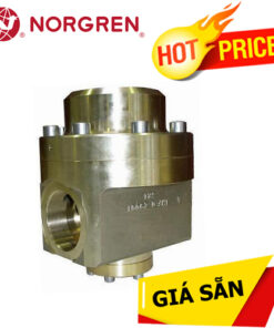 D291LG43NNI2001 Norgen