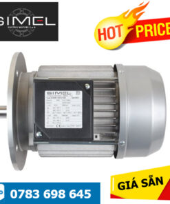 1/80R-1100-2T-54 IE3 Simel