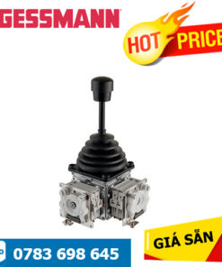 Bộ điều khiển đa trục V6/VV6 Gessmann