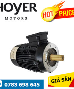 HMA2 100 L-2 IE2 Hoyer