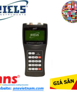 RIF600P Riels Instrument