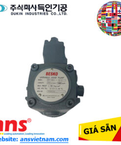 Bơm cánh gạt VP-20 Dukin Besko