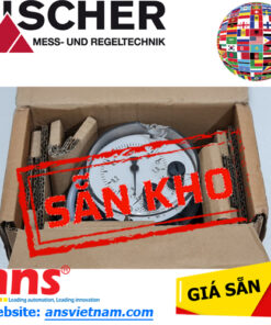 Đồng hồ chêch áp DS11 Fischer