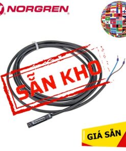 Cảm biến M/50/EHP/2V/M Norgen