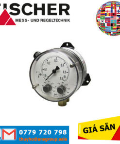 DS21050A22A10W00 Fischer Vietnam