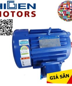 I01HK1HDD2 Higen Motor Vietnam,Motor