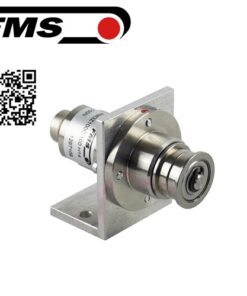 RMGZ100C.300 FMS Vietnam,Cảm biến lực