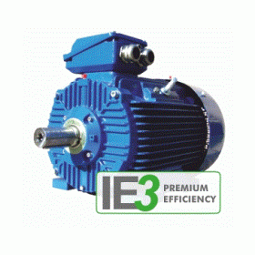 MOTOR Cantoni Vietnam, Cantoni  3SIE160M4, động cơ Cantoni Vietnam